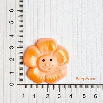 ΛΟΥΛΟΥΔΙ ΧΑΜΟΓΕΛΟ