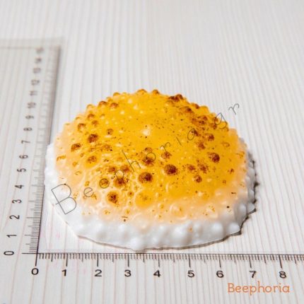 ΣΑΠΟΥΝΙ ΑΧΙΝΟΣ ΜΕΓΑΛΟΣ