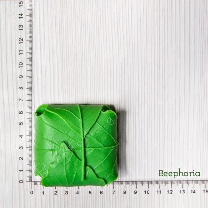 ΦΥΛΛΟ ΔΙΠΛΩΜΕΝΟ