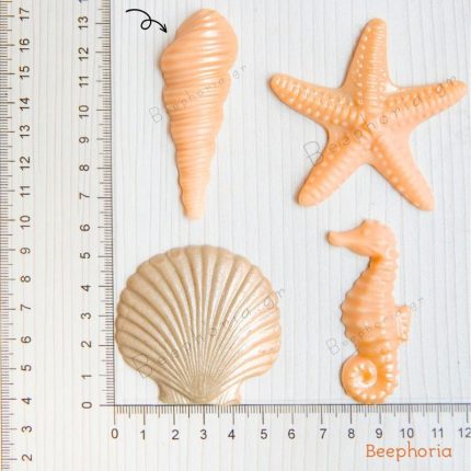 ΚΟΧΥΛΙ ΤΡΙΤΩΝΑΣ ΣΤΕΝΟΜΑΚΡΟ