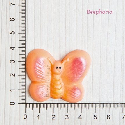 ΠΕΤΑΛΟΥΔΑ ΧΑΜΟΓΕΛΟ