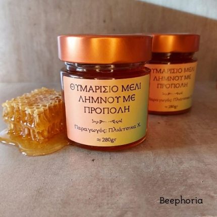 ΜΕΛΙ ΛΗΜΝΟΥ ΘΥΜΑΡΙΣΙΟ 280gr